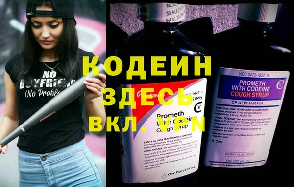 мяу мяу мука Аркадак